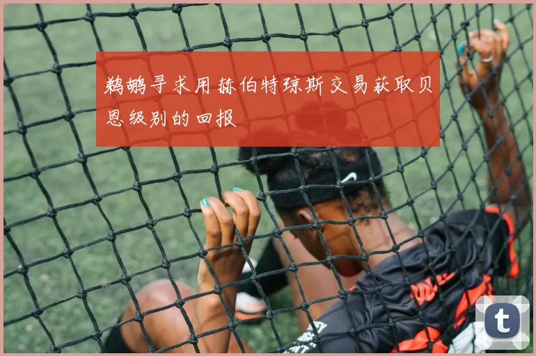 鹈鹕寻求用赫伯特琼斯交易获取贝恩级别的回报